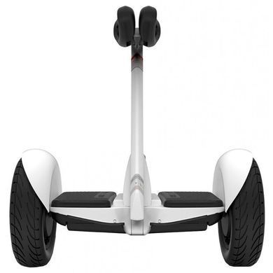 Гироскутер Segway Ninebot S White (23.03.0000.12)