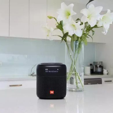 Портативная колонка JBL Tuner XL Black (JBLTUNERXLBLKEU)