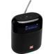 Портативная колонка JBL Tuner XL Black (JBLTUNERXLBLKEU)